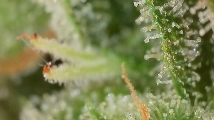 Growreport Bild 28