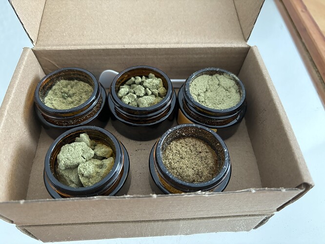 Growreport Bild 41