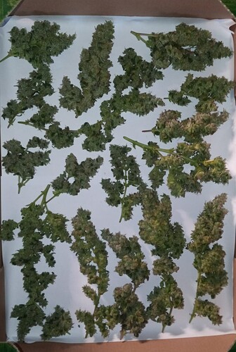 Growreport Bild 7