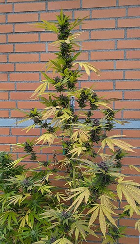 PXL_20241006_144406134