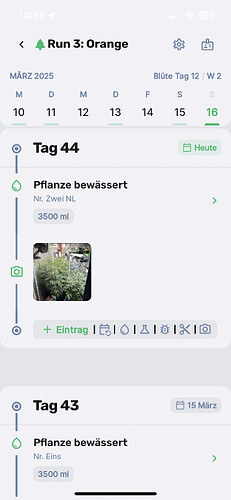 Growreport Bild 1