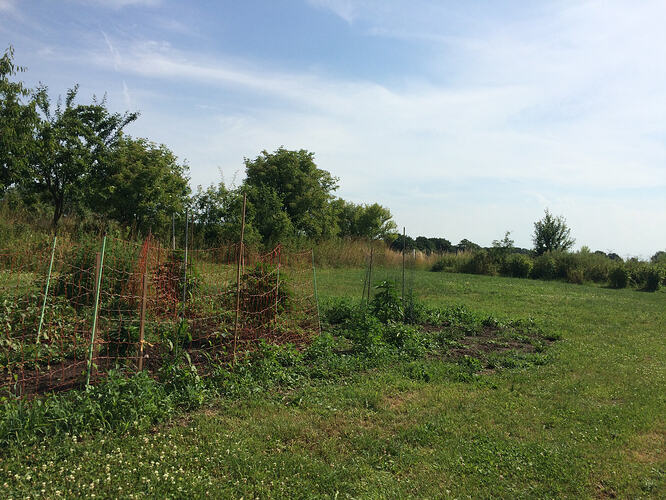 Grow2606181