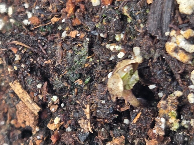 Growreport Bild 19