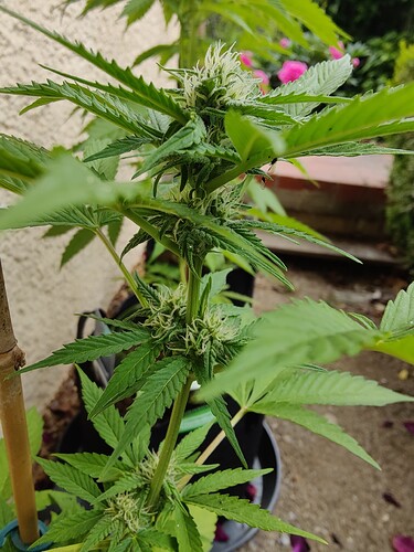Growreport Bild 11