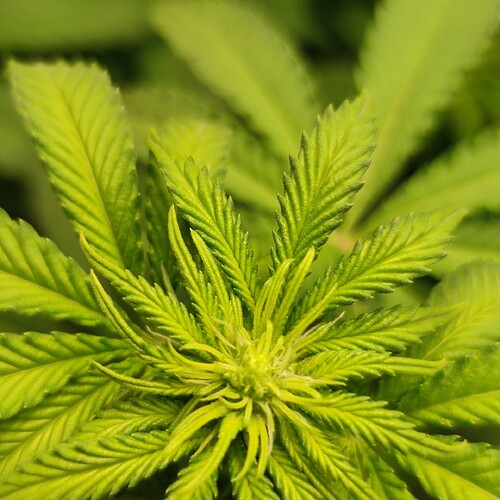 Growreport Bild 21