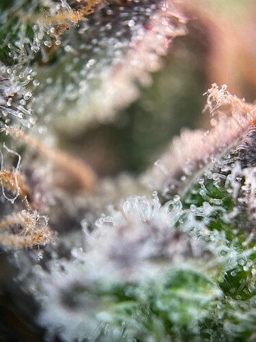 Growreport Bild 22