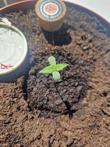 WhatsApp Image 2024-04-30 at 11.58.44 (2)