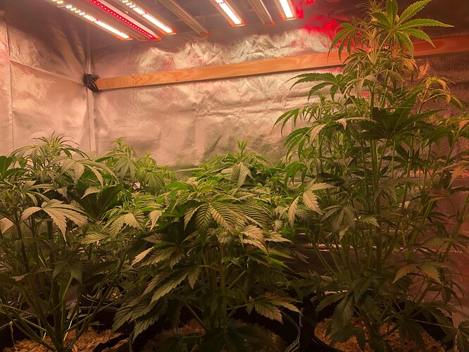 Growreport Bild 21