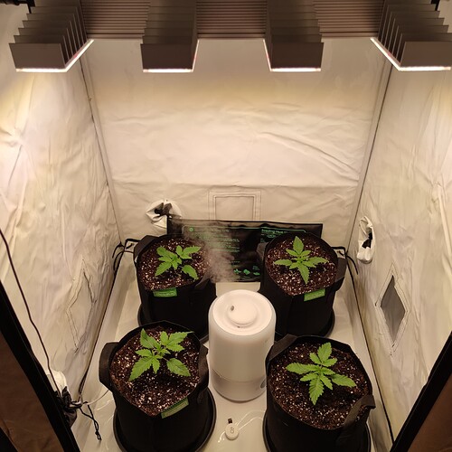 Growreport Bild 25