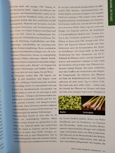 IMG_20240423_163622450_20240423_163804