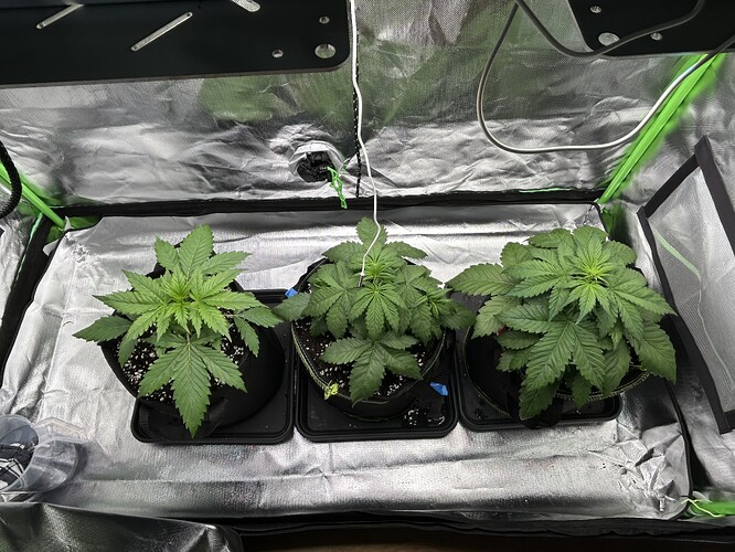 Growreport Bild 8