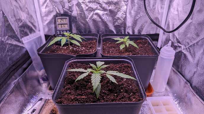 WhatsApp Bild 2024-05-08 um 19.32.39_6c9ddfbe