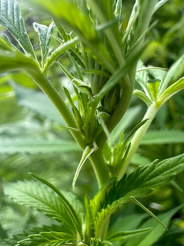 Growreport Bild 6
