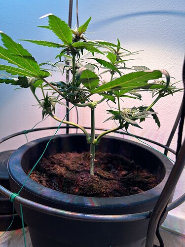 Growreport Bild 17