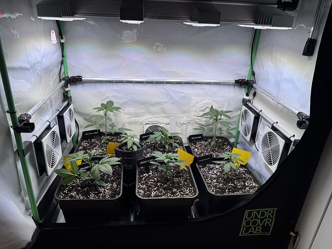 Growreport Bild 1