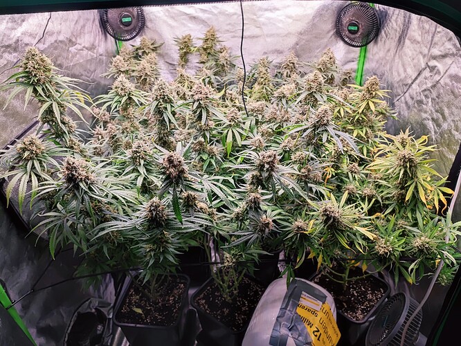 Growreport Bild 21