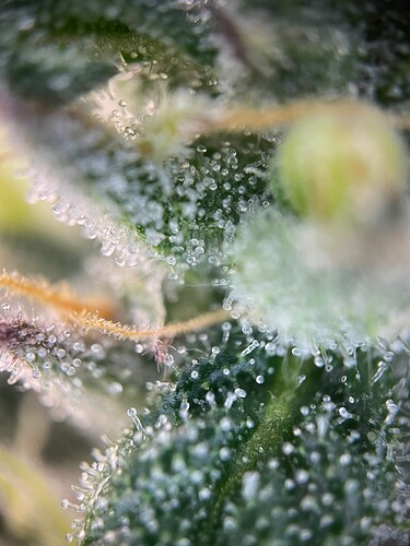 Growreport Bild 21