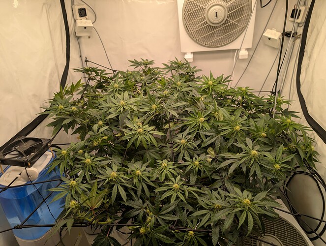 PXL_20250726_182312962.RAW-01.COVER