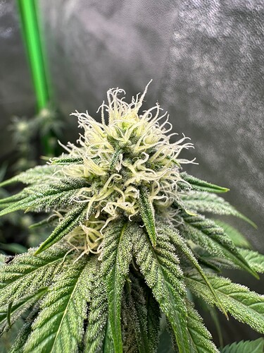 Growreport Bild 22