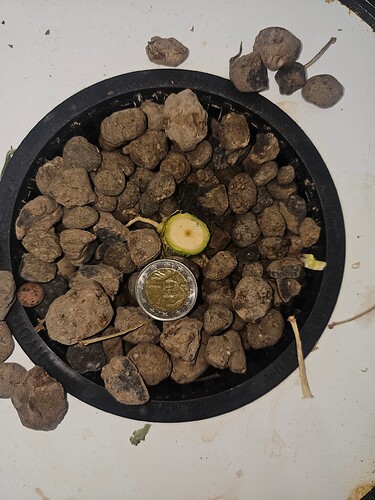 Growreport Bild 30