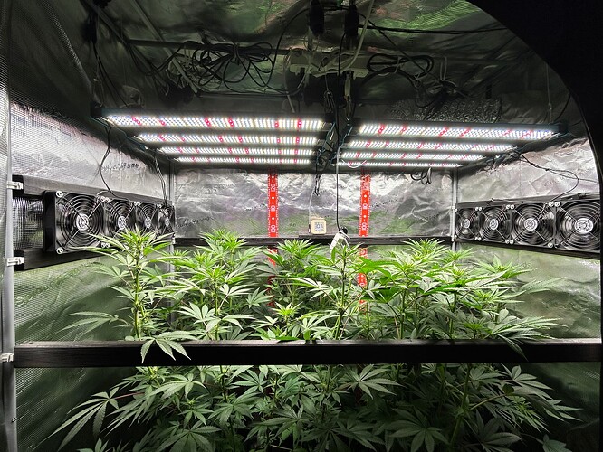 Growreport Bild 11