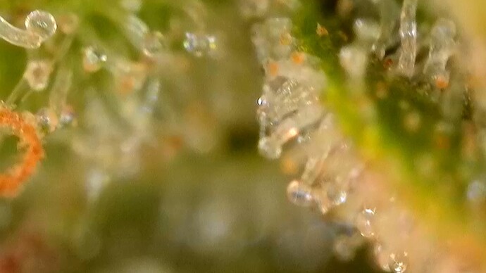 2024-06-29-14-36-11-576