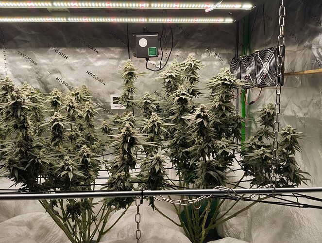 Growreport Bild 3