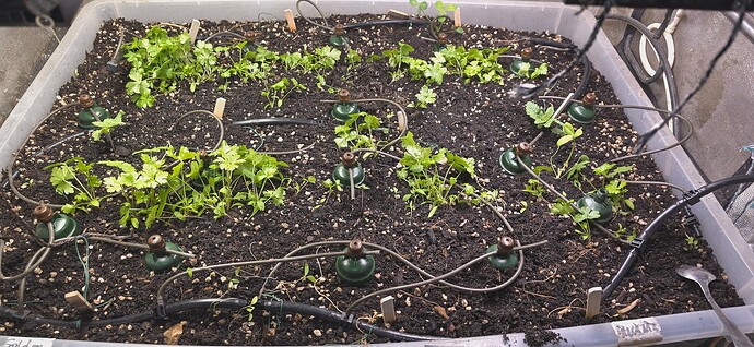 Growreport Bild 1