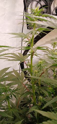 Growreport Bild 12