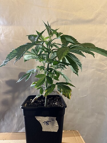 Growreport Bild 10
