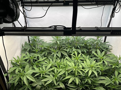 Growreport Bild 11