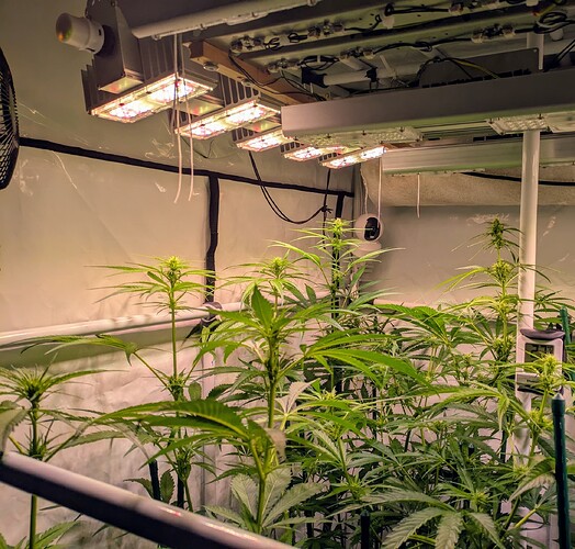 Growreport Bild 2