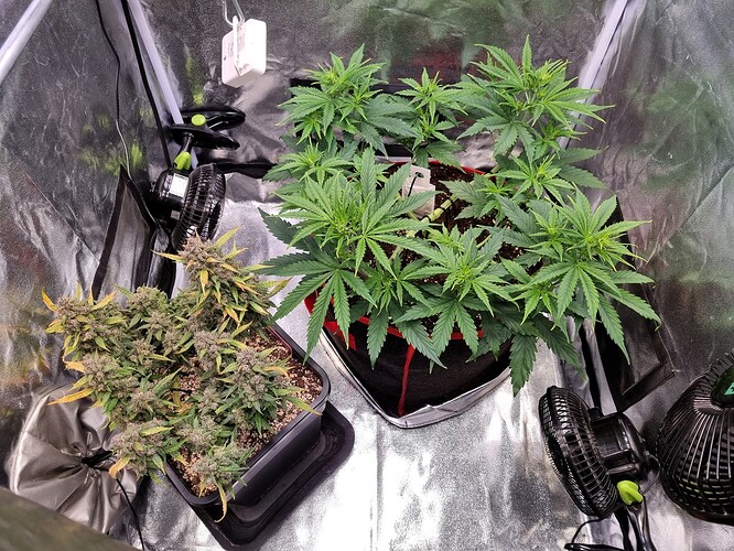 Growreport Bild 28