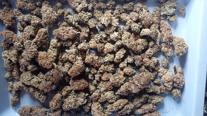 Growreport Bild 7