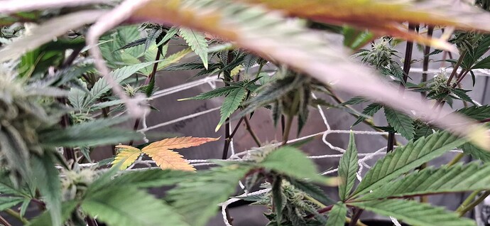 Growreport Bild 5