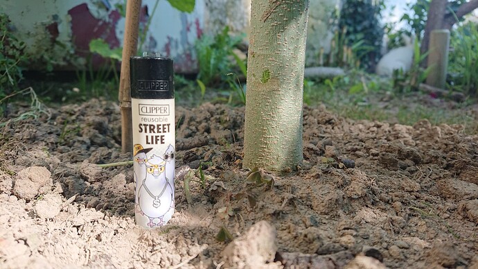 Growreport Bild 48