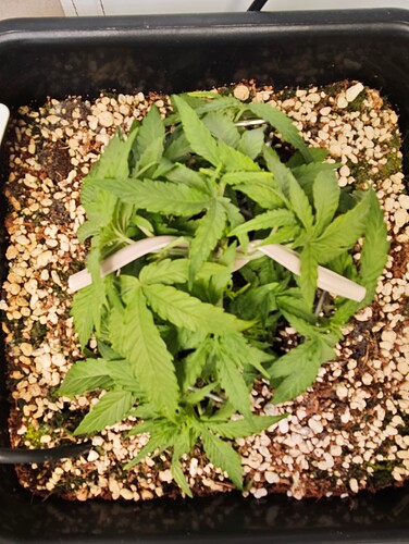 MVIMG_20251007_205018