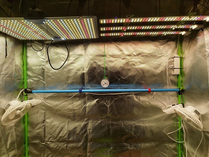Ein Zelt mit zwei LED-Wachstumslichtern, zwei Ventilatoren und einem Thermometer.