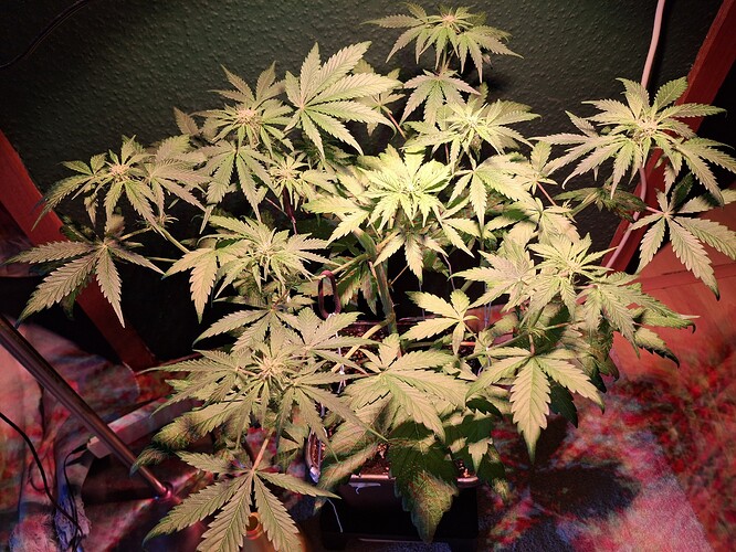 Growreport Bild 6