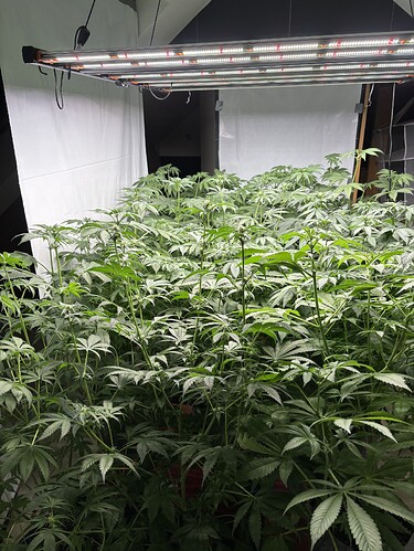 Growreport Bild 23