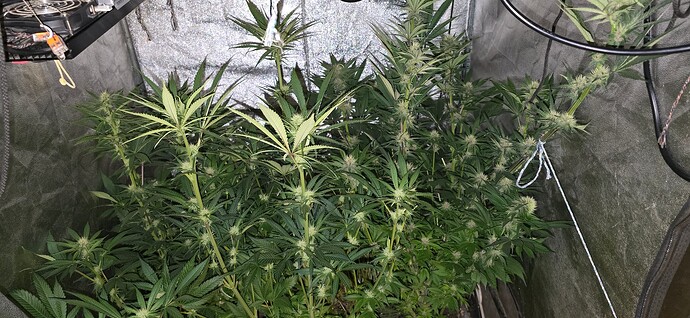 Growreport Bild 8