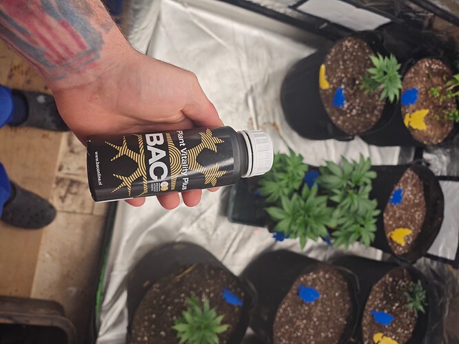 Growreport Bild 33
