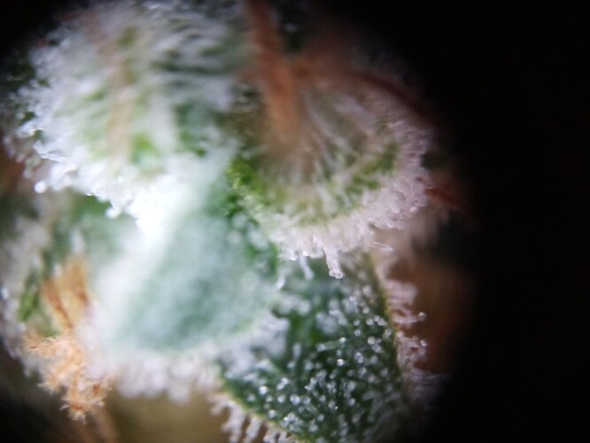 Growreport Bild 23