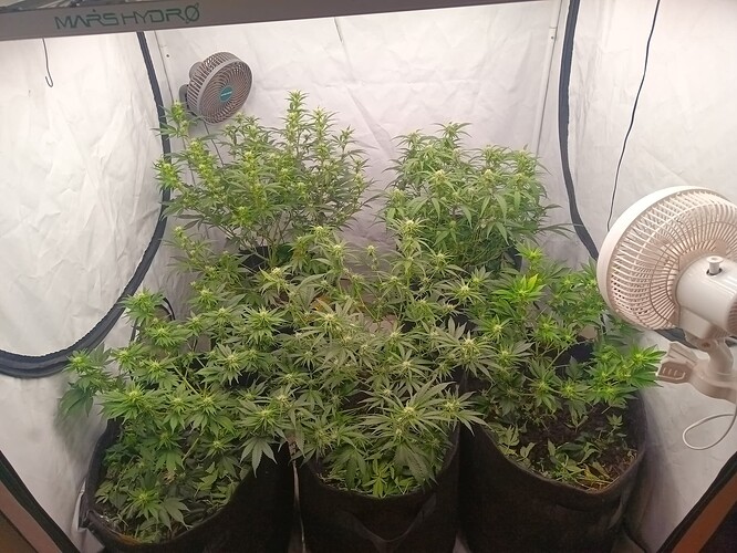 Growreport Bild 5