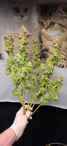 Growreport Bild 26