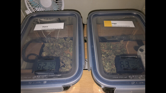 Growreport Bild 7