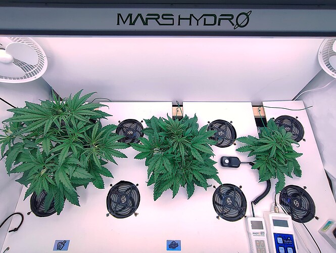 Growreport Bild 5
