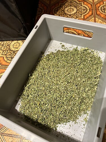 Ein grauer Behälter gefüllt mit zerkleinertem Cannabis, bereit zur Lagerung.
