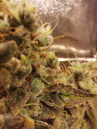 Growreport Bild 12