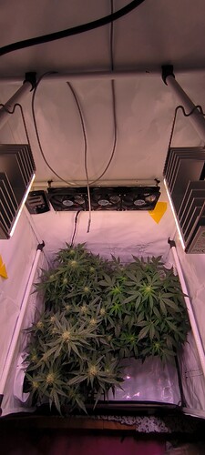 Growreport Bild 27